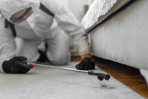 Professional Termite Control technician working in Helena, MT
