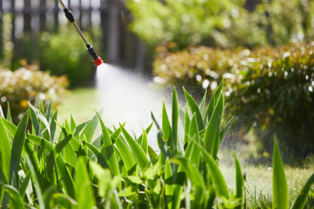 24/7 Emergency Termite Control experts in Helena, MT